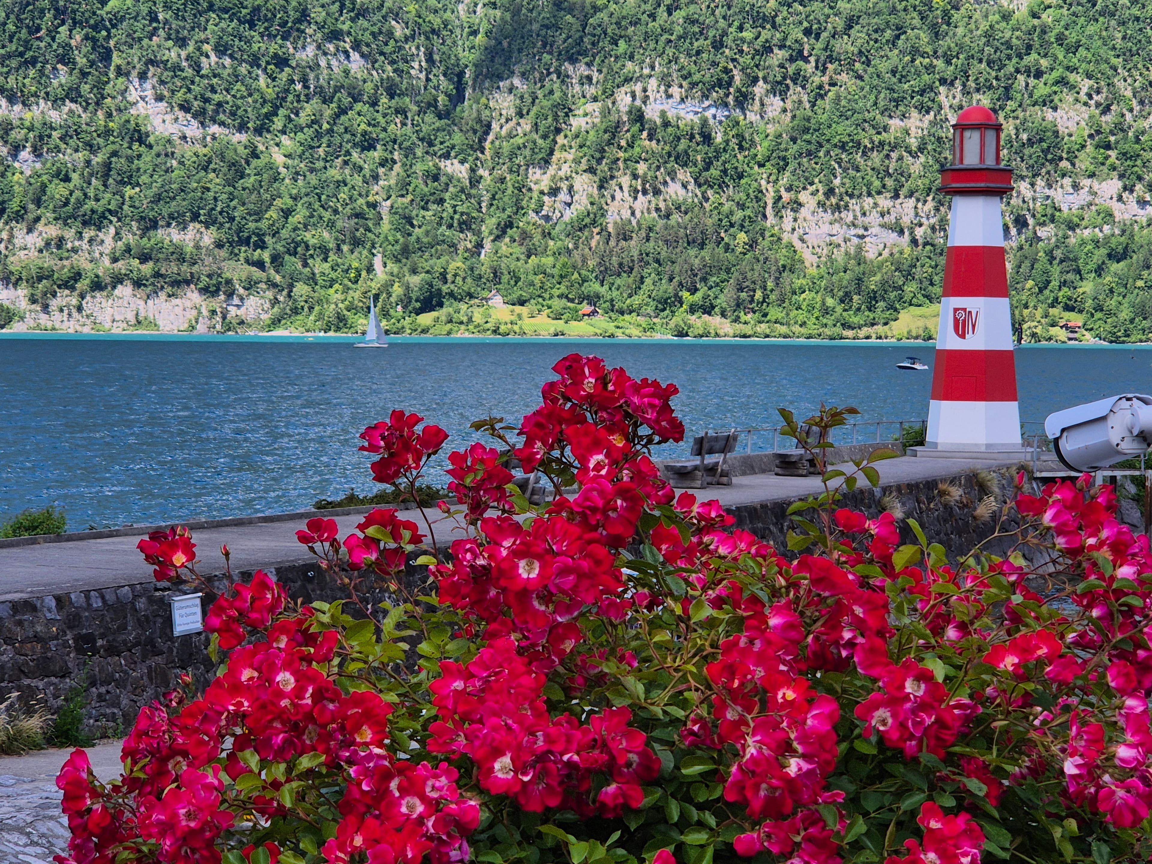 Apartment view with Lake Walensee and mountains